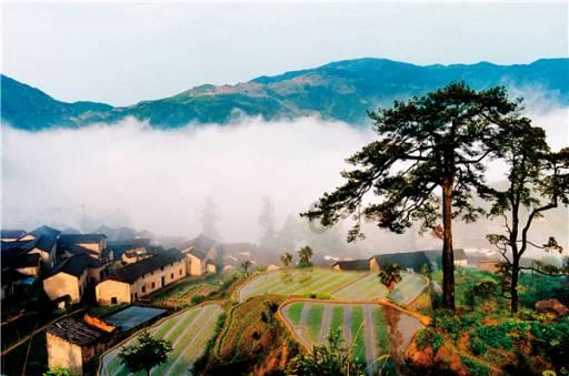 五彩泡沫